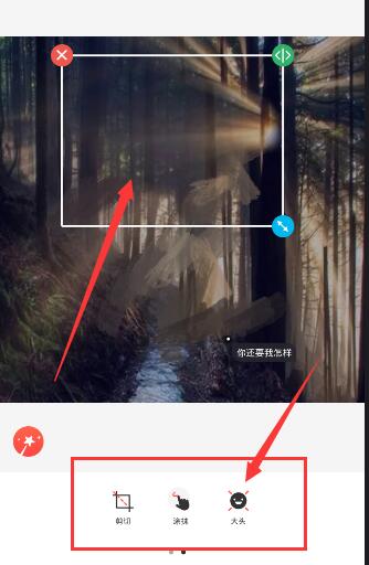 女明星华表奖红毯状态